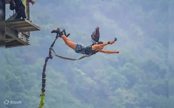 [M-Wir] Bungee Cords
